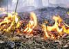 В Самарской области количество природных пожаров пошло на убыль
