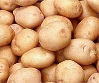 К 15 июля на тольяттинских рынках появится местный картофель