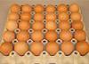 В США из продажи отозвано полмиллиарда куриных яиц