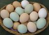 В некоторых регионах России возник дефицит яиц, наблюдается рост цен