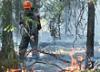 В Тольятти за сутки пожарные несколько раз выезжали к местам возгорания леса