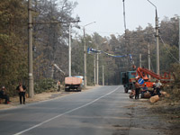Сгоревший в Тольятти лес будут убирать три года